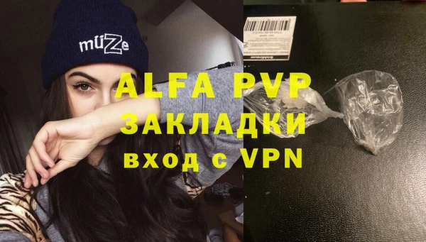 СК Абинск