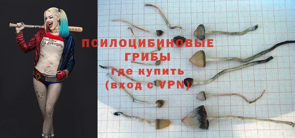 крисы Осташков