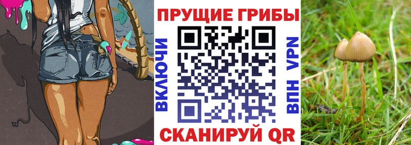 Галлюциногенные грибы ЛСД  Ивантеевка 